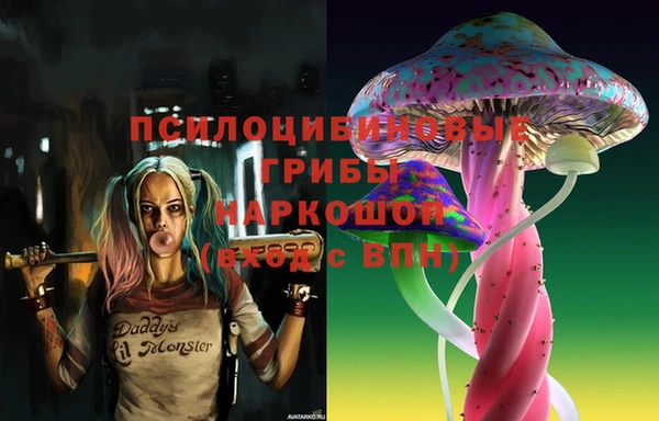 мяу мяу мука Россошь