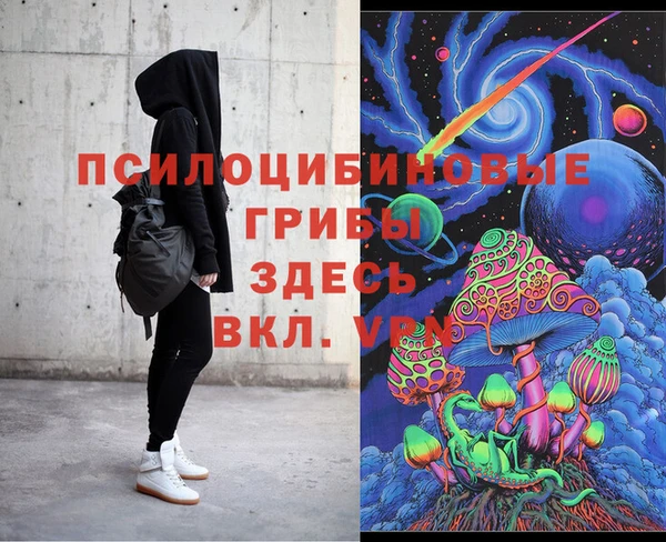 ALPHA-PVP Алексеевка
