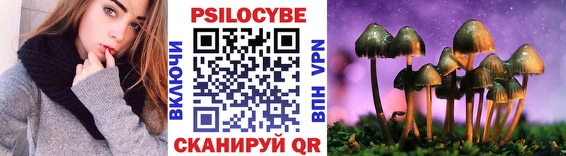 Псилоцибиновые грибы мицелий Дмитриев